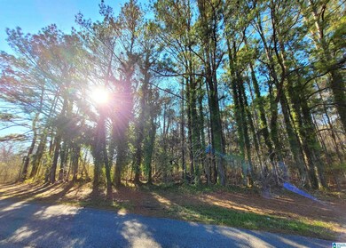 000 Welch Ave unit 1, Talladega, AL 35160 - photo 2