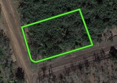 4615 Shadow Pond Ln, Alvin, TX 77511 - photo 2