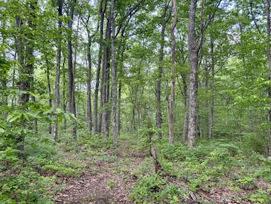 0 Harrison Ferry Rd unit RTC2813087, McMinnville, TN 37110 - photo 6