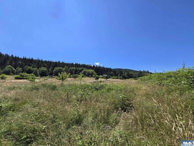 1517 Olson Rd, Sequim, WA 98382 - photo 5