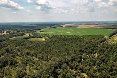 000 Shady Rd, Baconton, GA 31716 - photo 6