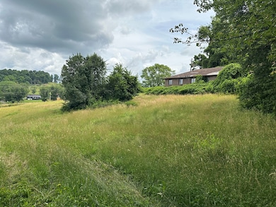 28226 Hillman Hwy, Meadowview, VA 24361 - photo 3