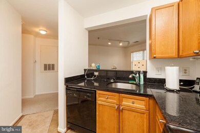 5573 Seminary Rd unit 209, Baileys Crossroads, VA 22041 - photo 7