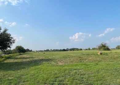 0 Keeter Springs Rd unit 20410663, Springtown, TX 76082 - photo 7