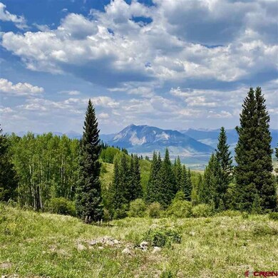 1008 Red Mountain Ranch Upper Loop, Crested Butte, CO 81224 - photo 7