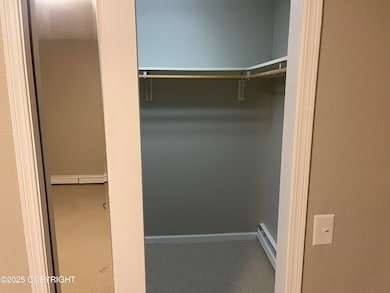 Walk in 6'x8' closet off master bedroom