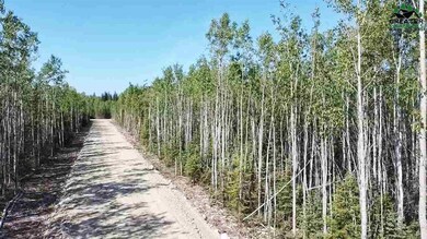 L12 BB Gini's Way, Delta Junction, AK 99737 - photo 6