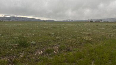 IMG_2298