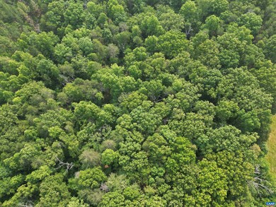 0 Jefferson Mill Rd unit 642483, Scottsville, VA 24590 - photo 6