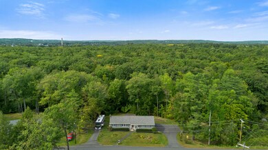 Wooded Neighborhood