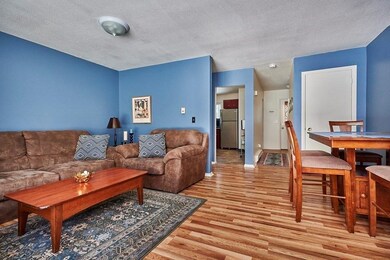 170 E Hadley Rd unit 107, Amherst, MA 01002 - photo 5