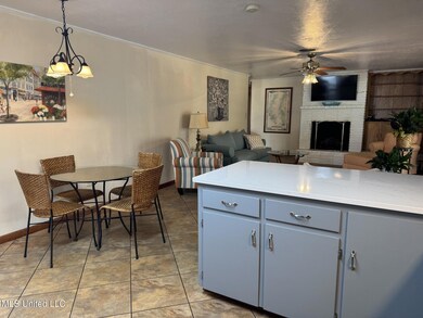 40 Old Courthouse Rd, Natchez, MS 39120 - photo 7