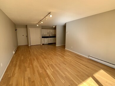 29 Custer St unit 303, Jamaica Plain, MA 02130 - photo 3