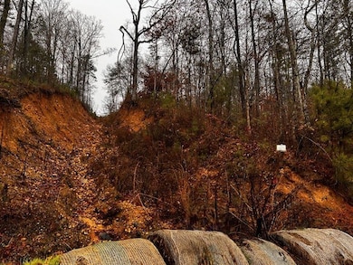 000 Talona Rd, Ellijay, GA 30540 - photo 3