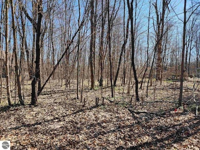 VL Cliffmont Dr, Lakes of the North, MI 49659 - photo 3