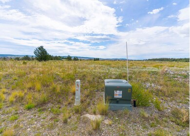 0 Platte Dr unit REC4328064, Fairplay, CO 80440 - photo 6