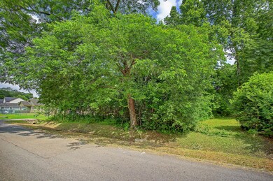 964 Ringold St, Houston, TX 77088 - photo 4