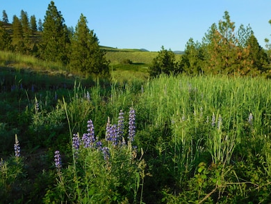 TBD Spirit Ridge Way, Rice, WA 99167 - photo 2