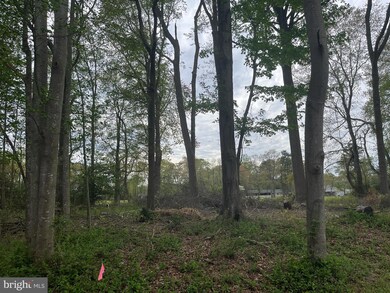 12 Pebble Dr, Dagsboro, DE 19939 - photo 7