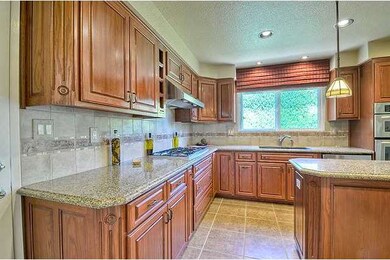 Closer look at the custom kitchen with grantie cou