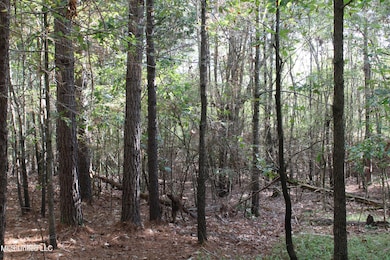 4 Byhalia Rd, Byhalia, MS 38611 - photo 5