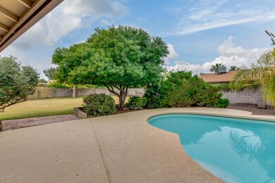 Spacious Yard and Crystal Clear Pool