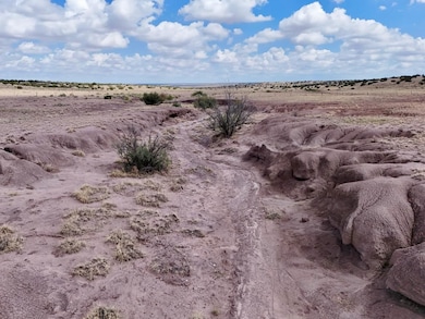 Tbd N6120, Saint Johns, AZ 85936 - photo 2