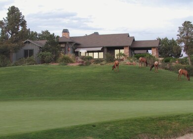 Elk Included!