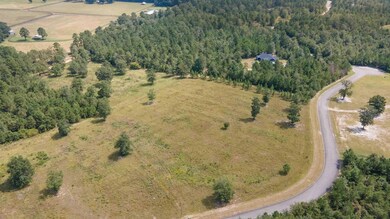 0 Cooks Pond Rd unit 219408, Windsor, SC 29856 - photo 4