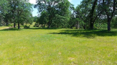 4573 Peaceful Ridge Rd, Redding, CA 96001 - photo 5