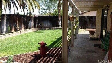 Low Maintenance Backyard!