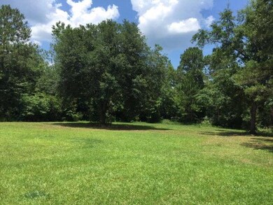 395 Parker Rd, Brunswick, GA 31525 - photo 2