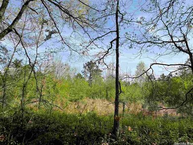 4576 Greene Road 610, Beech Grove, AR 72412 - photo 2