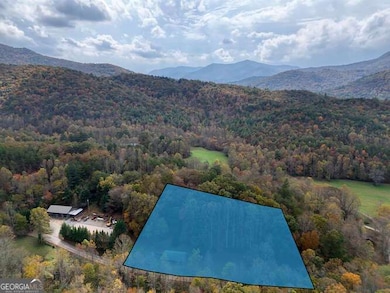 2802 Cynth Creek Rd, Hiawassee, GA 30546 - photo 6