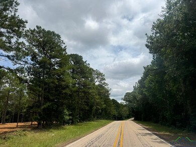 View of asphalt road with a forest view