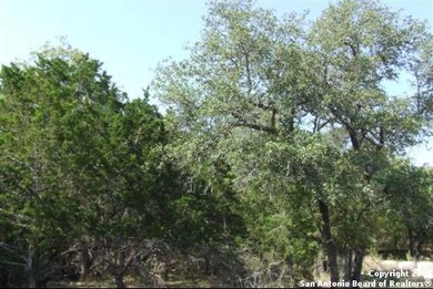 8235 San Fidel Way, Cross Mountain, TX 78255 - photo 6