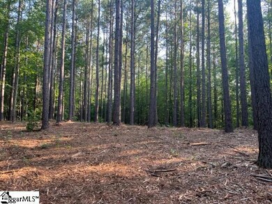 0 Manus Chapel Rd unit 1504435, Mill Spring, NC 28756 - photo 4