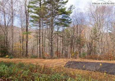 Paved road leads to lot 20 and easy access.