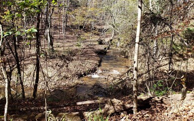 0 Toccoa River Forest unit 297130, Mineral Bluff, GA 30559 - photo 2