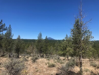 17665 Tinker Bell Rd, Sisters, OR 97759 - photo 3