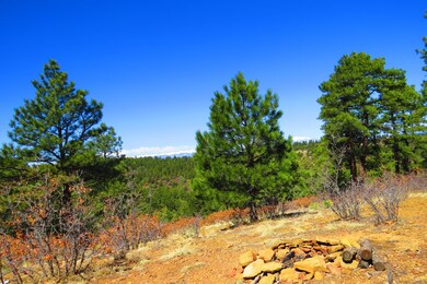 0 Chipmunk Dr unit B46 17-366, Trinidad, CO 81082 - photo 5