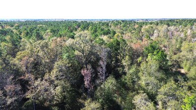 TBD Farm To Market 1280 E, Lovelady, TX 75851 - photo 6