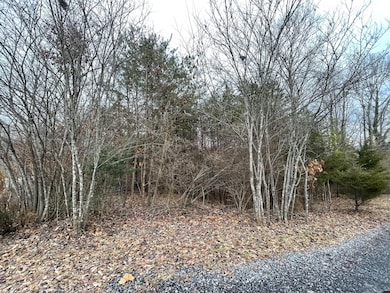 Lots 49/50 Overlook Cir, North Shore, VA 24121 - photo 2