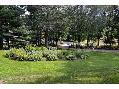 Yard/Garden.