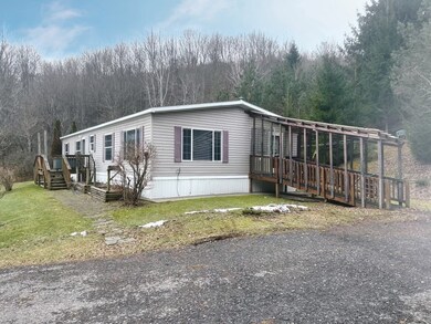 2233 Covert Hollow Rd, Hamden, NY 13782 - photo 5