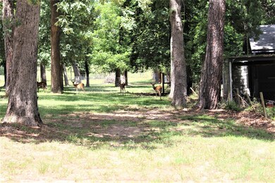 A few of the neighbors
