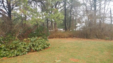 0313181135_resized