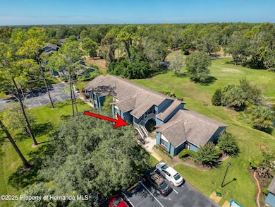 7540 St Andrews Blvd, Weeki Wachee, FL 34613 - photo 7