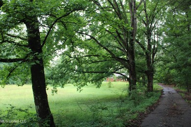 IMG_6252