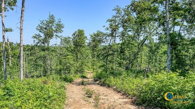 0 W Trace Creek Rd, Waverly, TN 37185 - photo 4